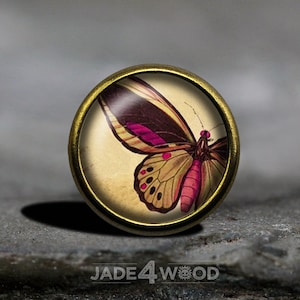 Op de afbeelding: Een ronde, messingkleurige hanger met een glazen koepel met een vintage illustratie van een vlinder met roze en bruine vleugels.