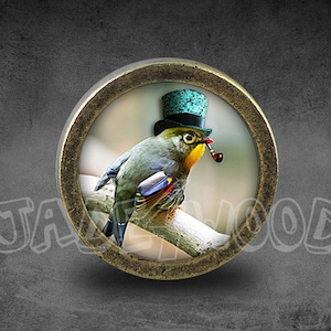 May include: A round, brass-colored knob with a colorful image of a bird wearing a hat and holding a pipe. The bird is perched on a branch.