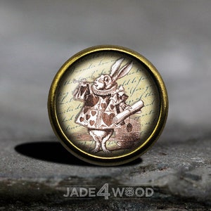 Alice in Wonderland Glass Cabochon Cabinet Knob Dresser Knob Dresser Pull Furniture Knob