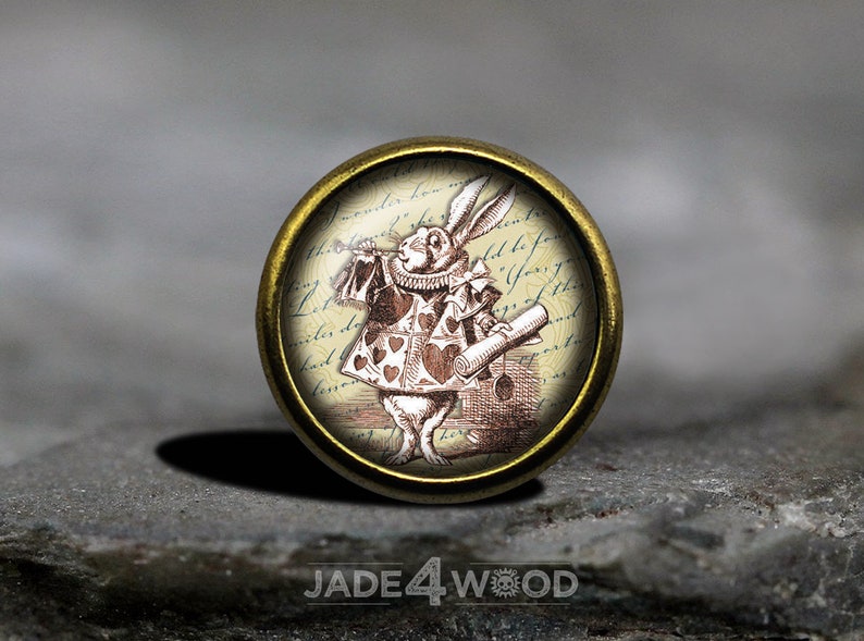Alice in Wonderland Glass Cabochon Cabinet Knob Dresser Knobs Dresser Pull Furniture Knobs