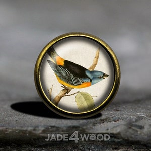 May include: A vintage illustration of a blue, black, and yellow bird perched on a branch. The image is printed on a round, white background and framed with a gold metal ring.
