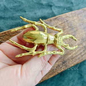 Insect Solid Brass Dresser Handle Pull Knob Pull Handle / Kitchen Cabinet Pull Handle Knob Furniture Hardware WM1464