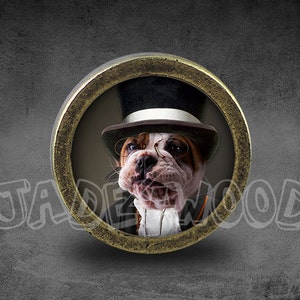 May include: A bulldog wearing a top hat and glasses, framed in a gold circle against a gray background.
