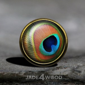 May include: A round, brass-colored button with a peacock feather design. The feather is green, blue, and orange with a dark blue eye.