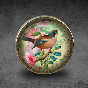 May include: A round, brass-coloured knob with a floral design featuring a blue and brown bird perched on a branch. The knob has a raised, circular glass insert with a vintage-inspired floral pattern.