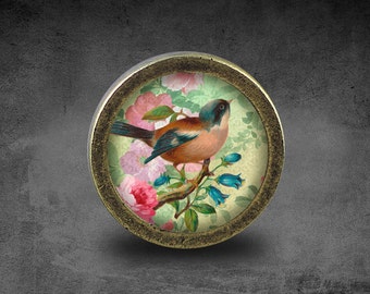 Bird Glass Cabochon Bronze cabinet Dresser Knobs pull / Dresser Pull / Cabinet Knobs / Furniture Knobs