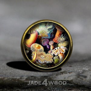 May include: A round, brass-colored button with a colorful image of various sea anemones. The anemones are in shades of red, orange, yellow, green, blue, and purple.