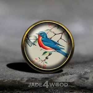 Può includere: Bottone rotondo in stile antico con un uccello blu e rosso posato su un ramo fiorito. L'uccello è ambientato su uno sfondo color crema all'interno di una cornice color ottone. Il testo "JADE4WOOD" è visibile in basso.