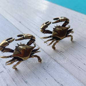Peut inclure: Deux figurines de crabes en laiton avec des détails précis, notamment les pinces et les pattes. Elles sont posées sur une surface en bois blanc et bleu clair. Ces figurines de crabes sont un objet décoratif.