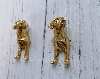 May include: Two gold-colored metal dog figurines. The dogs are standing on a white wooden surface. The dogs are facing forward with their heads tilted up.