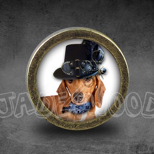 Pode incluir: Um dachshund marrom e branco usando um chapéu-coco preto com um design steampunk e uma gravata borboleta azul. O cão está olhando diretamente para a câmera. A imagem está em uma moldura circular com uma borda dourada.