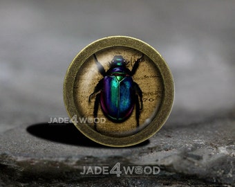 Ladybug Glass Cabochon Bronze cabinet Dresser Knob pull / Dresser Pull / Cabinet Knob / Furniture Knob