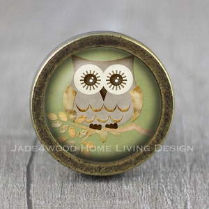 May include: A round, antique gold knob with a green background and a cartoon owl with brown eyes and a brown and white patterned body. The owl is perched on a branch with brown leaves.