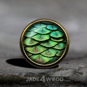 Könnte beinhalten: Ein runder, messingfarbener Knopf mit einer Glasoberfläche, die ein Nahaufnahmebild von Pfauenfedern zeigt. Die Federn sind grün, blau und braun mit einem irisierenden Schimmer.