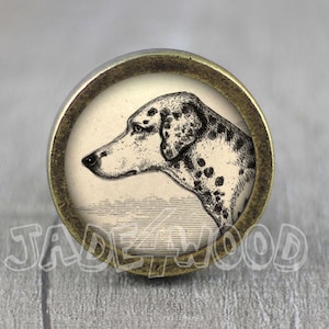 Dog Photo Glass Cabochon Vintage Dresser knobs cabinet Drawer Knob pull Cabinet Pull