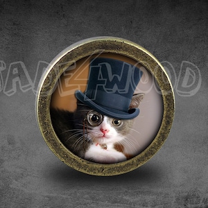 Puede incluir: Primer plano de un gato con un sombrero de copa negro con una banda blanca. El gato tiene pelaje blanco alrededor de los ojos y una nariz negra. El gato está mirando a la cámara. La imagen está enmarcada en un marco redondo de color dorado.