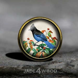 Vintage Bird Glass Cabochon Cabinet Knob Dresser Knob Dresser Pull Furniture Knob