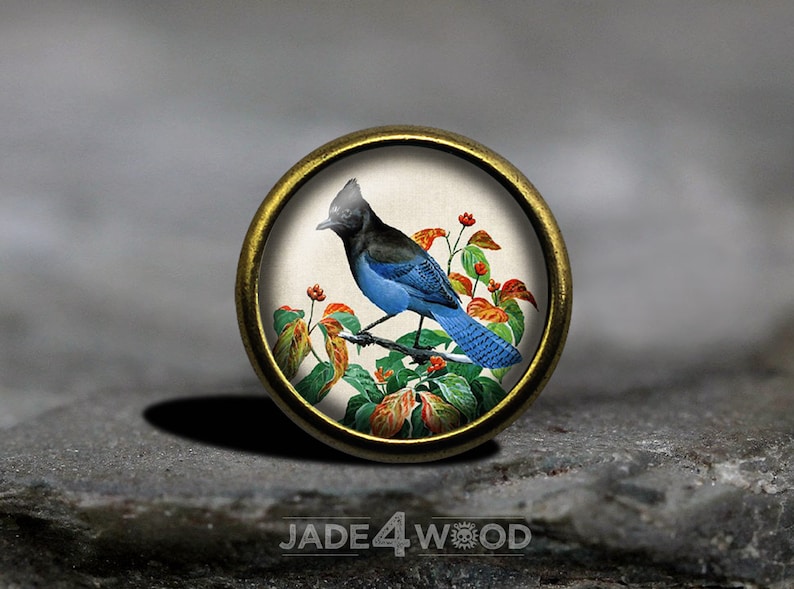 Vintage Bird Glass Cabochon Cabinet Knob Dresser Knobs Dresser Pull Furniture Knobs