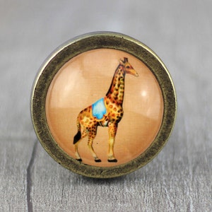 Könnte beinhalten: Ein Messingknopf mit einer runden Glasplatte, die eine Vintage-Illustration einer Giraffe mit einem blauen und gelben Sattel zeigt. Die Giraffe steht auf einem pfirsichfarbenen Hintergrund.