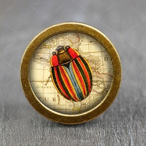 Puede incluir: Un pomo dorado con una parte superior redonda de vidrio que presenta un mapa antiguo con una ilustración de escarabajo colorido. El mapa muestra el texto "Oceanus" y "D", probablemente refiriéndose a un océano y una ubicación.