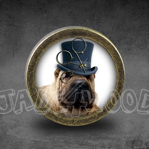 May include: A round, brass-coloured knob with a white background featuring a Shar-Pei dog wearing a blue top hat and round glasses. The dog is looking directly at the viewer.