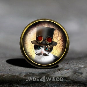 Op de afbeelding: Een zwart-witte kat die een zwarte hoge hoed draagt met rode en gouden beschermbrillen en een snor. De kat kijkt recht in de camera. De afbeelding is geplaatst tegen een verweerde, vintage achtergrond.