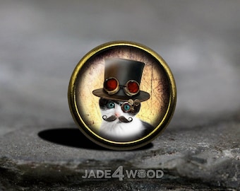 Cabochon en verre, chat steampunk, bouton de meuble pour commode, bouton de meuble pour commode
