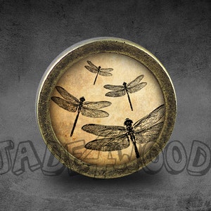 May include: A round, brass-colored knob with a glass insert featuring a vintage illustration of four dragonflies on a cream-colored background.