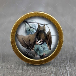 May include: A gold-toned round knob featuring a vintage illustration of a brown bat hanging upside down from a branch. The bat has a white face and is surrounded by green leaves.