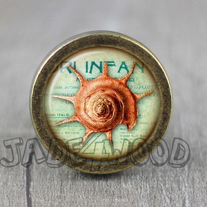 May include: A vintage-style cabinet knob with a brass finish. The knob features a round, clear glass insert with a printed image of a seashell on a vintage travel poster. The text on the poster reads "RINFAN con accomoda..."