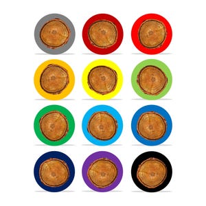 May include: A collection of twelve circular designs featuring cross-sections of wood, each set against a different colored background. The backgrounds include gray, red, yellow, green, blue, purple, and black.