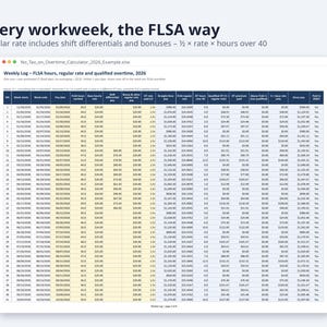 No Tax on Overtime Calculator 2026 | Excel + Google Sheets, Overtime Premium Deduction, W-2 Box 12 TT Tracker (Digital Download) image 3