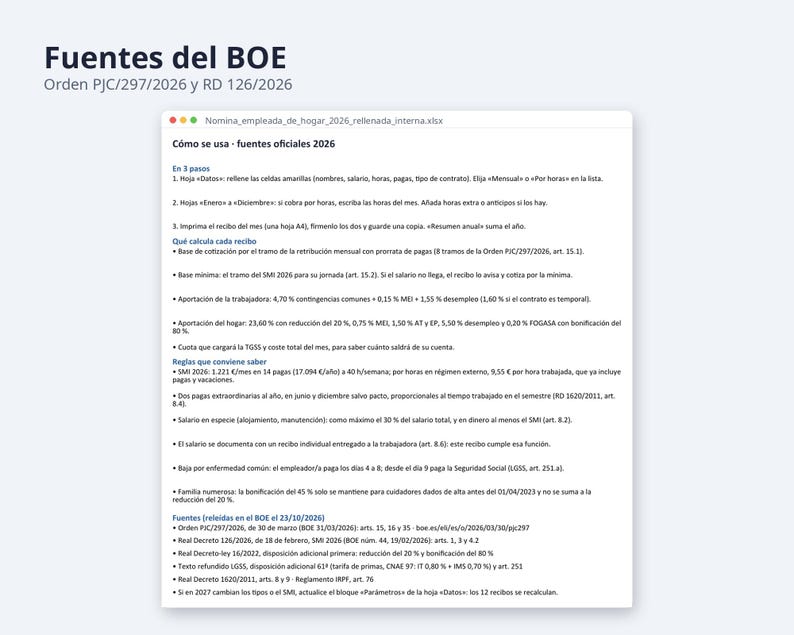 Nómina empleada de hogar rellenada 2026 | Spanish, Excel con cotización, 12 meses y plantilla vacía (Digital Download) image 7