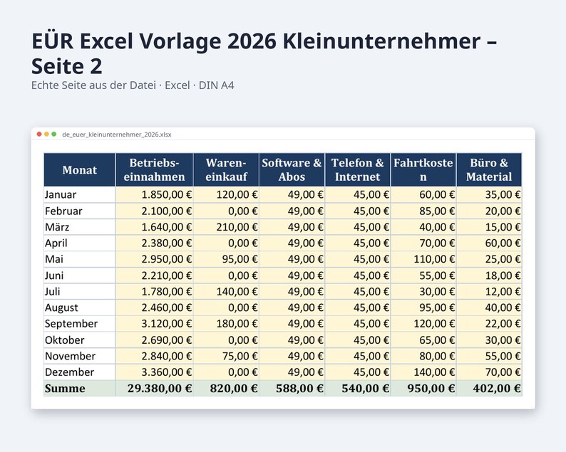 EÜR Excel Vorlage 2026 Kleinunternehmer | Einnahmen Ausgaben Tabelle mit Grenzen Check 25.000 und 100.000 Euro | Sofort Download image 6