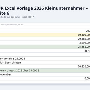 EÜR Excel Vorlage 2026 Kleinunternehmer | Einnahmen Ausgaben Tabelle mit Grenzen Check 25.000 und 100.000 Euro | Sofort Download image 9