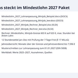 Mindestlohn 2027 Minijob Rechner Excel | German, 14,60 EUR Stundenlohn, 633 EUR Grenze (Digital Download) image 9