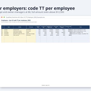 No Tax on Overtime Calculator 2026 | Excel + Google Sheets, Overtime Premium Deduction, W-2 Box 12 TT Tracker (Digital Download) image 6