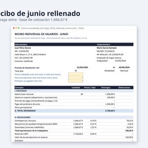 Nómina empleada de hogar rellenada 2026 | Spanish, Excel con cotización, 12 meses y plantilla vacía (Digital Download) image 8
