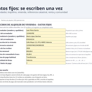Recibo de alquiler plantilla Excel y Word 2026 2027 | 12 recibos con importe en letra, registro de cobros, A4 (Descarga digital) imagen 3