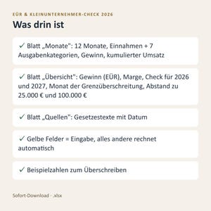 EÜR Excel Vorlage 2026 Kleinunternehmer | Einnahmen Ausgaben Tabelle mit Grenzen Check 25.000 und 100.000 Euro | Sofort Download image 4