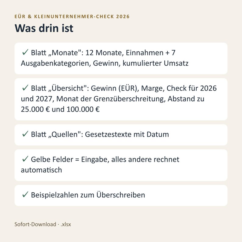 EÜR Excel Vorlage 2026 Kleinunternehmer | Einnahmen Ausgaben Tabelle mit Grenzen Check 25.000 und 100.000 Euro | Sofort Download image 4