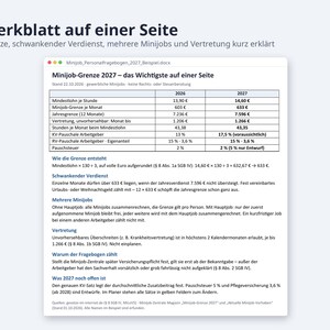 Minijob Grenze 2027 Jahresplaner Excel | German, mehrere Minijobber, Weihnachtsgeld-Check (Digital Download) image 8