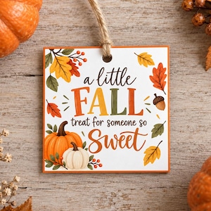 Op de afbeelding: Een vierkant wit cadeaulabel met een lus van jutekoord met de tekst A little FALL treat for someone so Sweet in oranje en zwarte letters. Het ontwerp bevat illustraties van oranje en witte pompoenen, eikels en kleurrijke herfstbladeren.