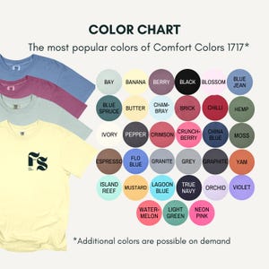 May include: A color chart for Comfort Colors 1717 t-shirts featuring four stacked shirts in blue, pink, light green, and yellow. The yellow shirt displays a black FS logo. A grid of 31 colored circles lists names like Bay, Banana, Berry, and Black.