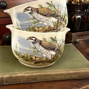 May include: Two cream-colored ceramic mixing bowls stacked vertically, each featuring a detailed illustration of a brown and white hawk perched on a branch amidst a forest landscape. The bowls have a distinct pouring spout on each side of the rim.