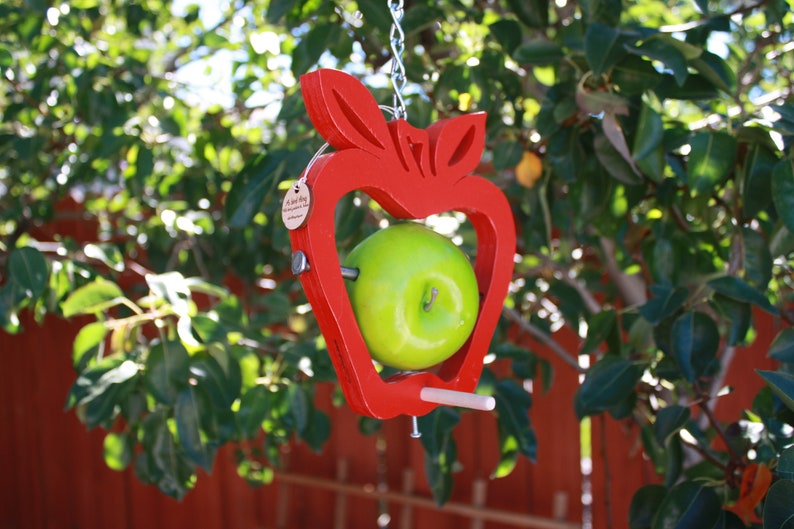 Bird Feeder In The Shape Of A Big Red Apple Etsy