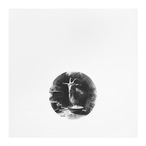 May include: A black and white illustration of a goat inside a circle. The goat has large horns and is standing near a bowl of food. The background is dark and blurry, with hints of kitchen items. The image is on a white background.
