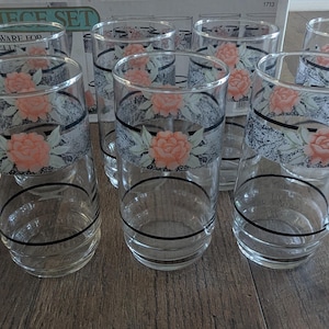 Juego de 10 vasos/cristalería Corelle Silk & Roses en caja, vintage de los años 70, artículo de colección.