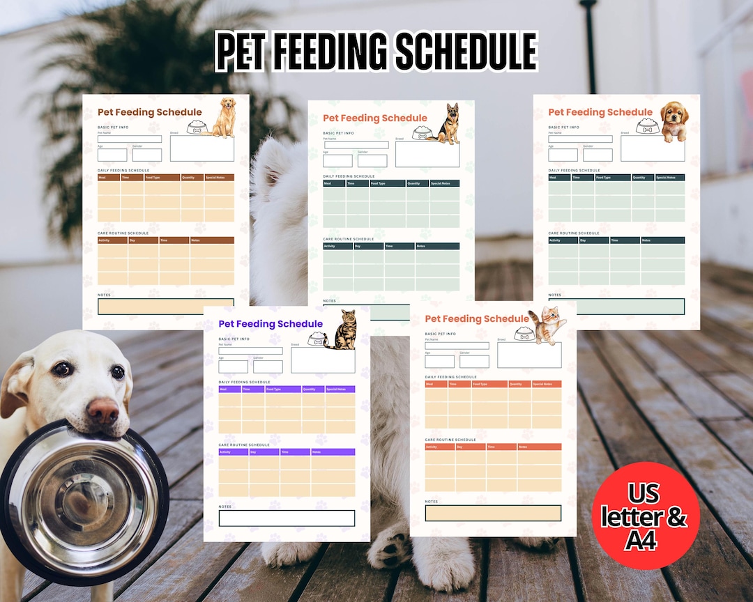 Pet Feeding Schedule | Instant Download PDF/PNG - Etsy