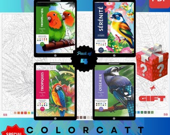 Set van 4 mysterieuze kleuren op nummer | Tropische vogels en exotische natuurtaferelen | Digitale pdf-kleurboeken | Tablet en Procreate Ready-bundel